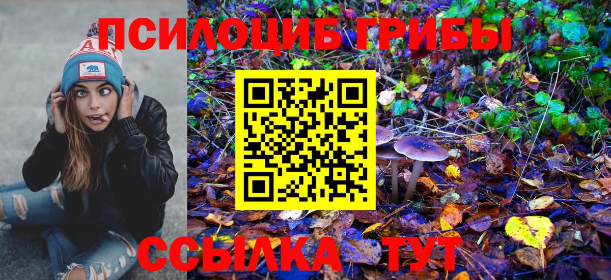 Северобайкальск  Псилоцибиновые грибы Psilocybine cubensis  Вход с VPN  Псилоцибиновые грибы Magic Shrooms 